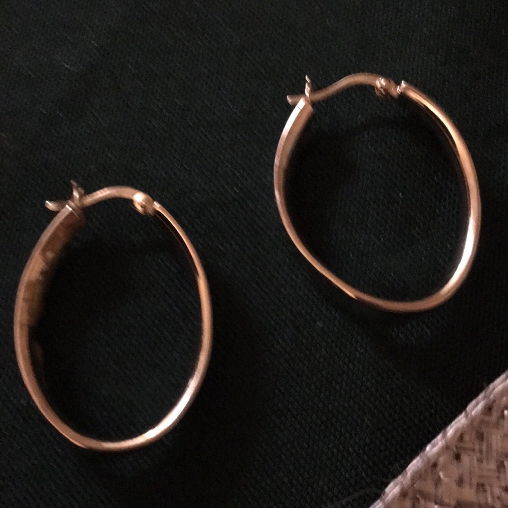Elegant Gold Hoop Metal Earrings